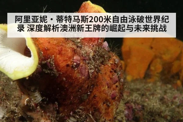 阿里亚妮·蒂特马斯200米自由泳破世界纪录 深度解析澳洲新王牌的崛起与未来挑战