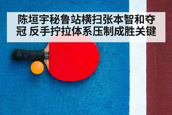 table tennis racket closeup
