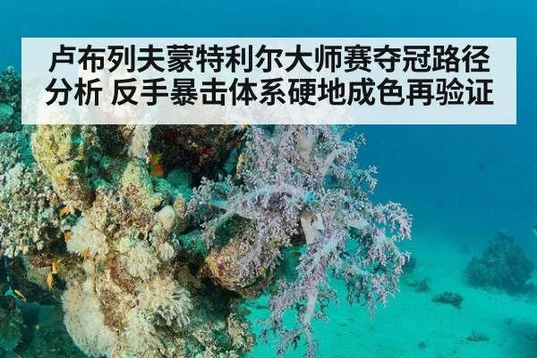 卢布列夫蒙特利尔大师赛夺冠路径分析 反手暴击体系硬地成色再验证